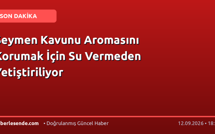 Seymen Kavunu Aromasını Korumak İçin Su Vermeden Yetiştiriliyor
