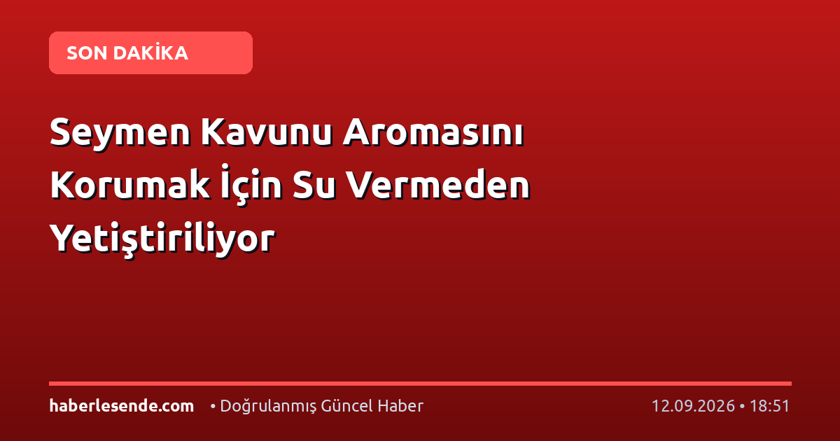Seymen Kavunu Aromasını Korumak İçin Su Vermeden Yetiştiriliyor