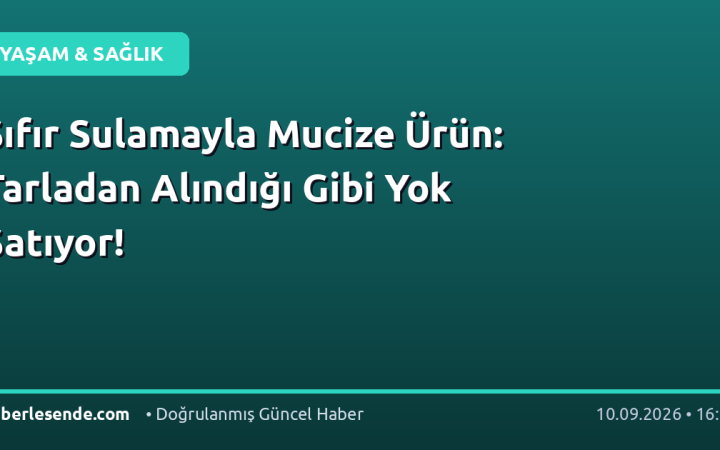 Sıfır Sulamayla Mucize Ürün: Tarladan Alındığı Gibi Yok Satıyor!