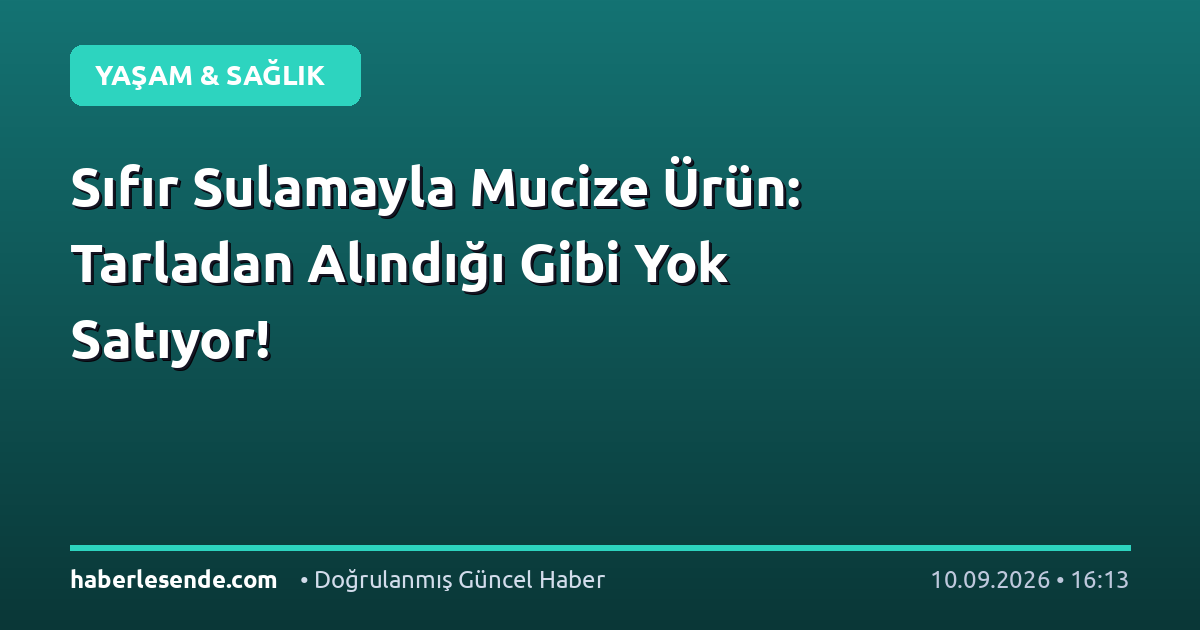Sıfır Sulamayla Mucize Ürün: Tarladan Alındığı Gibi Yok Satıyor!