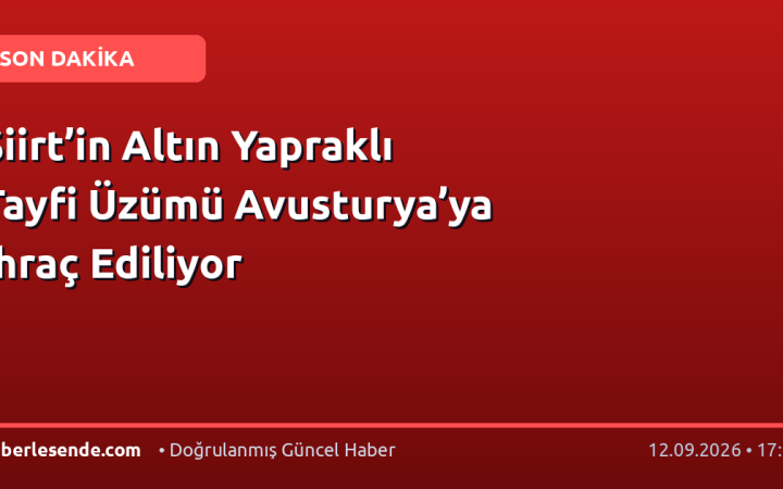 Siirt’in Altın Yapraklı Tayfi Üzümü Avusturya’ya İhraç Ediliyor