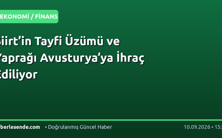 Siirt’in Tayfi Üzümü ve Yaprağı Avusturya’ya İhraç Ediliyor