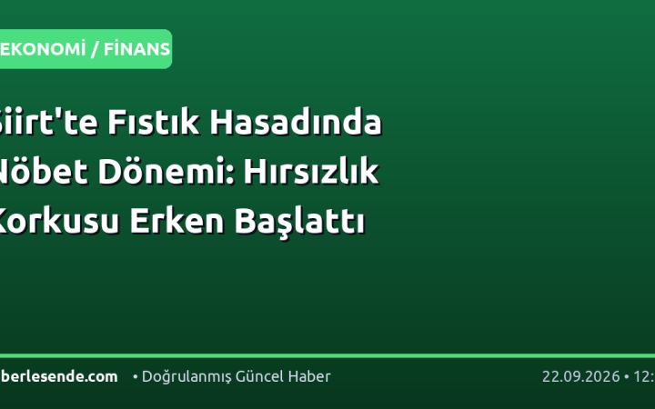 Siirt'te Fıstık Hasadında Nöbet Dönemi: Hırsızlık Korkusu Erken Başlattı