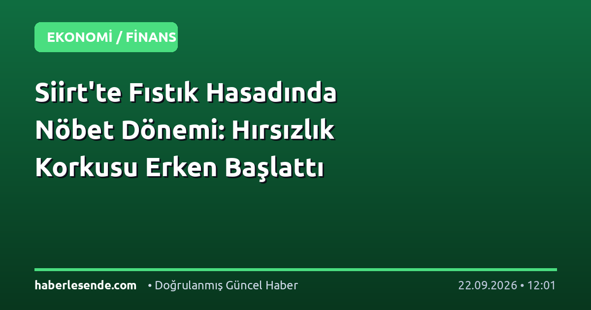Siirt'te Fıstık Hasadında Nöbet Dönemi: Hırsızlık Korkusu Erken Başlattı