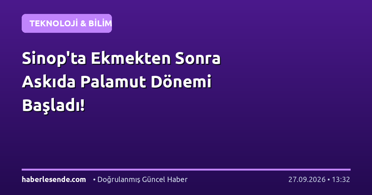 Sinop'ta Ekmekten Sonra Askıda Palamut Dönemi Başladı!