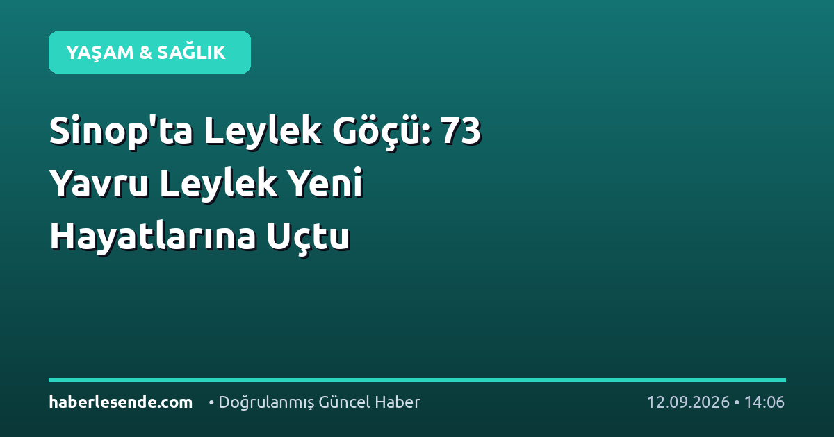 Sinop'ta Leylek Göçü: 73 Yavru Leylek Yeni Hayatlarına Uçtu
