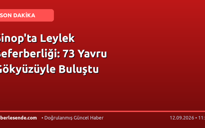 Sinop'ta Leylek Seferberliği: 73 Yavru Gökyüzüyle Buluştu