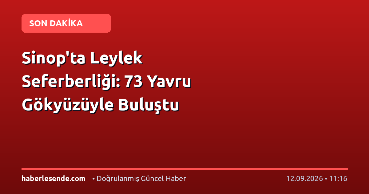Sinop'ta Leylek Seferberliği: 73 Yavru Gökyüzüyle Buluştu