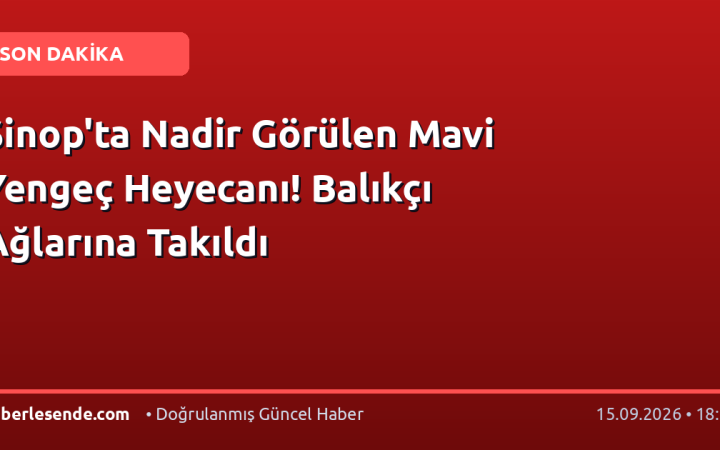 Sinop'ta Nadir Görülen Mavi Yengeç Heyecanı! Balıkçı Ağlarına Takıldı