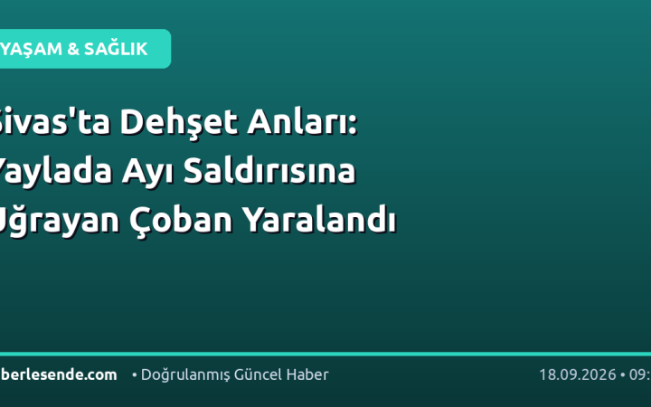 Sivas'ta Dehşet Anları: Yaylada Ayı Saldırısına Uğrayan Çoban Yaralandı