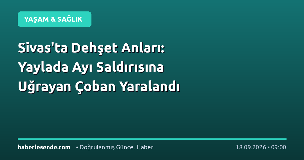 Sivas'ta Dehşet Anları: Yaylada Ayı Saldırısına Uğrayan Çoban Yaralandı