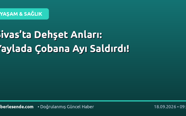Sivas’ta Dehşet Anları: Yaylada Çobana Ayı Saldırdı!
