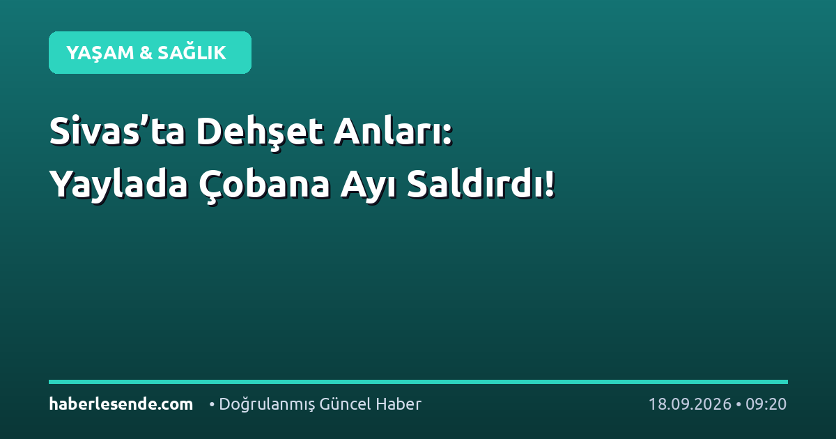 Sivas’ta Dehşet Anları: Yaylada Çobana Ayı Saldırdı!
