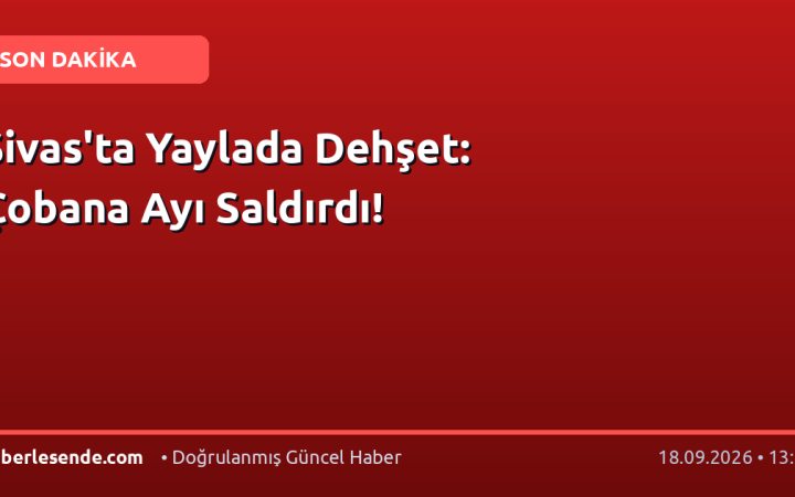 Sivas'ta Yaylada Dehşet: Çobana Ayı Saldırdı!
