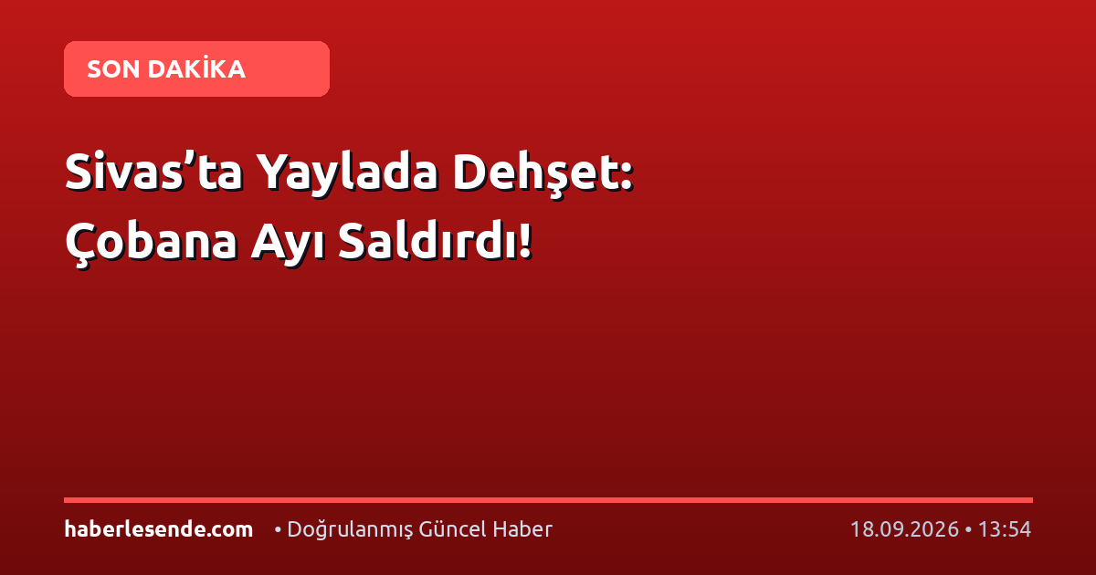 Sivas’ta Yaylada Dehşet: Çobana Ayı Saldırdı!