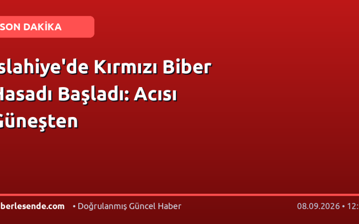 İslahiye'de Kırmızı Biber Hasadı Başladı: Acısı Güneşten