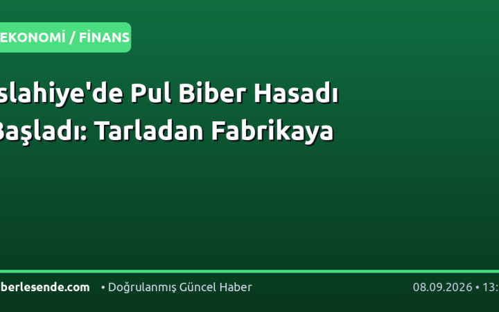İslahiye'de Pul Biber Hasadı Başladı: Tarladan Fabrikaya