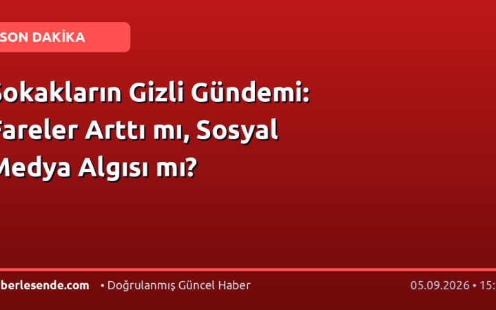 Sokakların Gizli Gündemi: Fareler Arttı mı, Sosyal Medya Algısı mı?