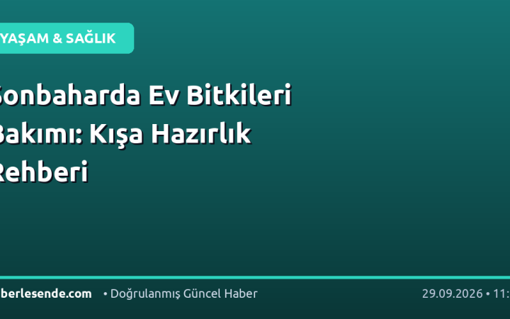 Sonbaharda Ev Bitkileri Bakımı: Kışa Hazırlık Rehberi