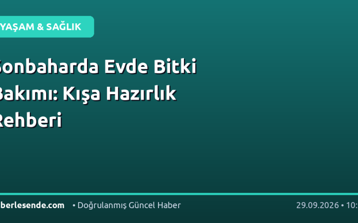 Sonbaharda Evde Bitki Bakımı: Kışa Hazırlık Rehberi