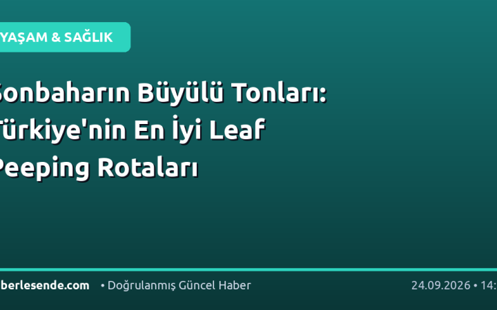 Sonbaharın Büyülü Tonları: Türkiye'nin En İyi Leaf Peeping Rotaları