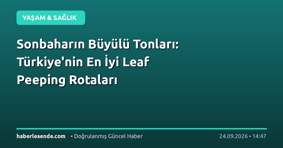 Sonbaharın Büyülü Tonları: Türkiye'nin En İyi Leaf Peeping Rotaları