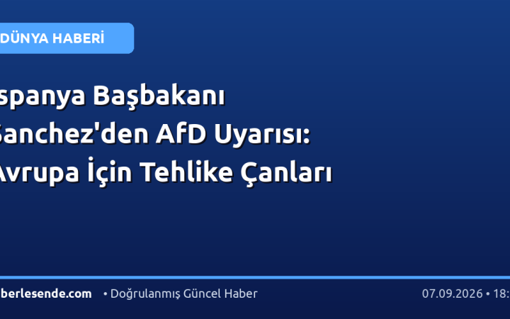 İspanya Başbakanı Sanchez'den AfD Uyarısı: Avrupa İçin Tehlike Çanları