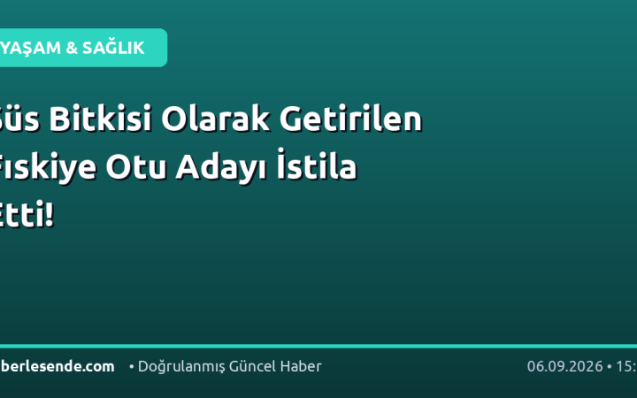 Süs Bitkisi Olarak Getirilen Fıskiye Otu Adayı İstila Etti!
