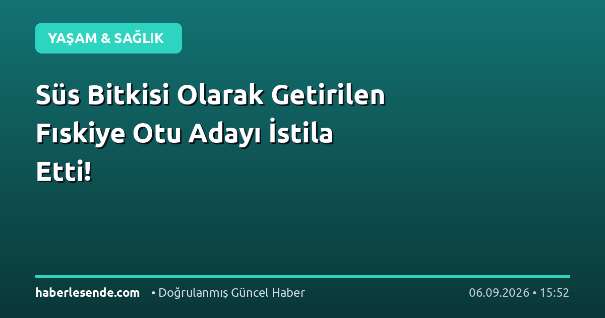 Süs Bitkisi Olarak Getirilen Fıskiye Otu Adayı İstila Etti!