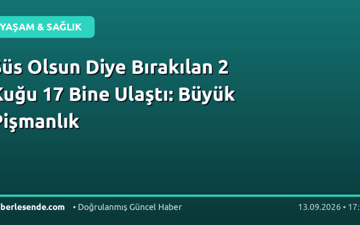 Süs Olsun Diye Bırakılan 2 Kuğu 17 Bine Ulaştı: Büyük Pişmanlık