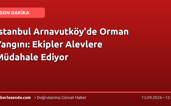 İstanbul Arnavutköy'de Orman Yangını: Ekipler Alevlere Müdahale Ediyor