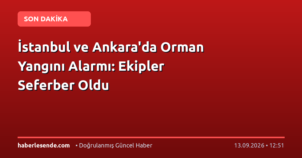 İstanbul ve Ankara'da Orman Yangını Alarmı: Ekipler Seferber Oldu