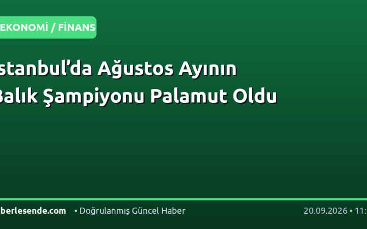 İstanbul’da Ağustos Ayının Balık Şampiyonu Palamut Oldu