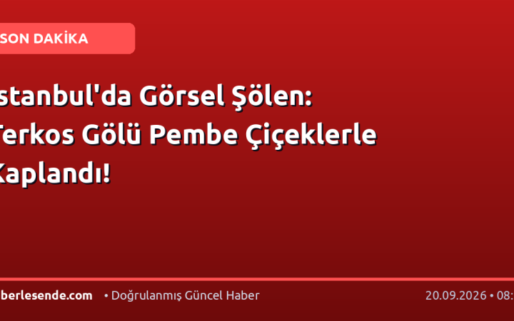 İstanbul'da Görsel Şölen: Terkos Gölü Pembe Çiçeklerle Kaplandı!