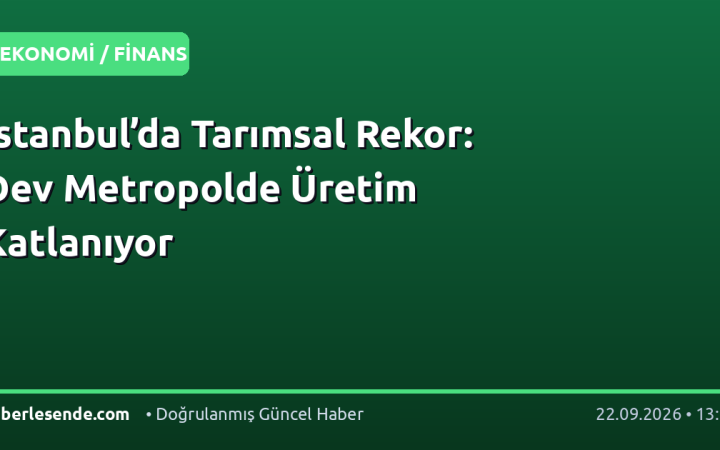 İstanbul’da Tarımsal Rekor: Dev Metropolde Üretim Katlanıyor