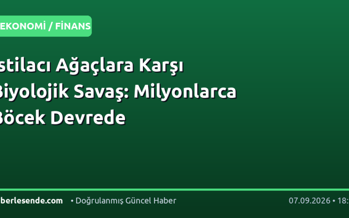 İstilacı Ağaçlara Karşı Biyolojik Savaş: Milyonlarca Böcek Devrede