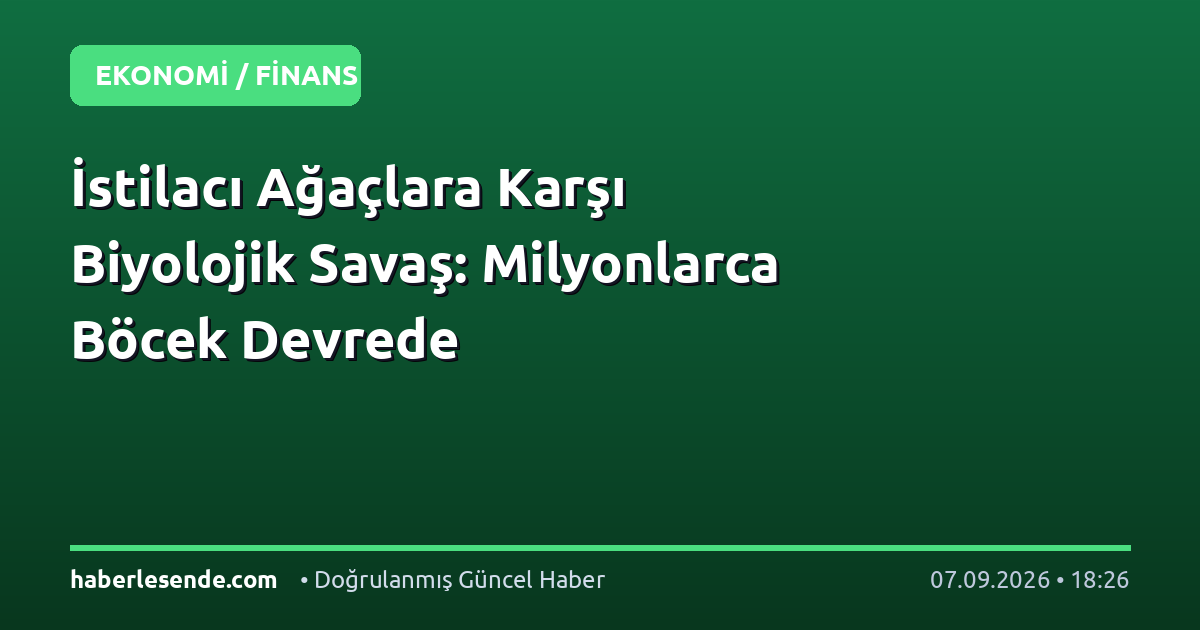 İstilacı Ağaçlara Karşı Biyolojik Savaş: Milyonlarca Böcek Devrede