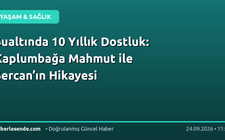 Sualtında 10 Yıllık Dostluk: Kaplumbağa Mahmut ile Sercan’ın Hikayesi