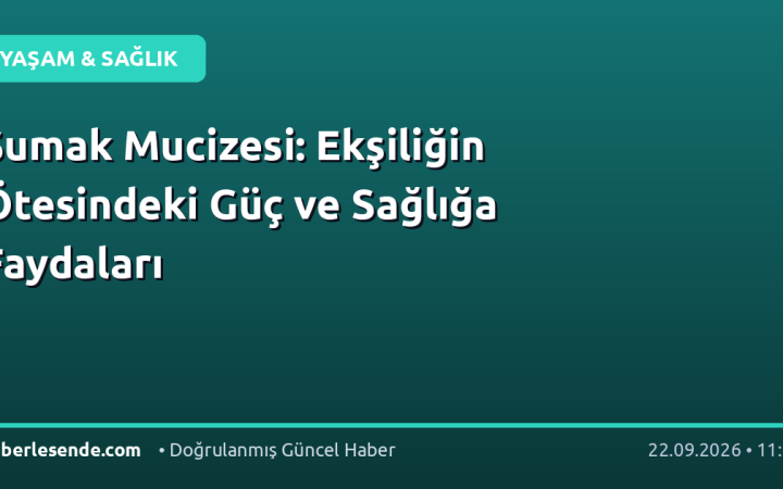 Sumak Mucizesi: Ekşiliğin Ötesindeki Güç ve Sağlığa Faydaları