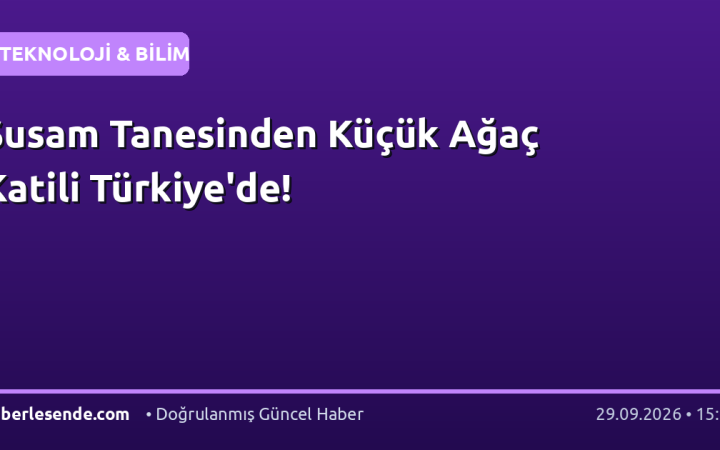 Susam Tanesinden Küçük Ağaç Katili Türkiye'de!