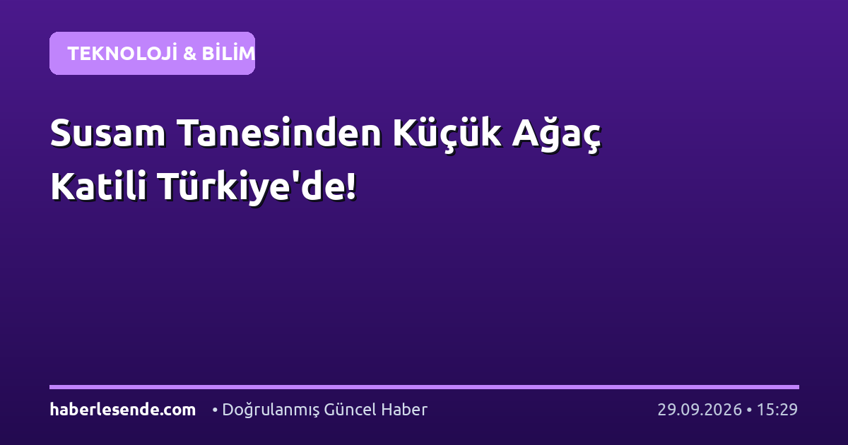 Susam Tanesinden Küçük Ağaç Katili Türkiye'de!