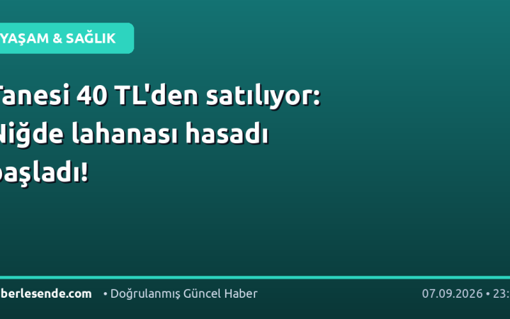 Tanesi 40 TL'den satılıyor: Niğde lahanası hasadı başladı!