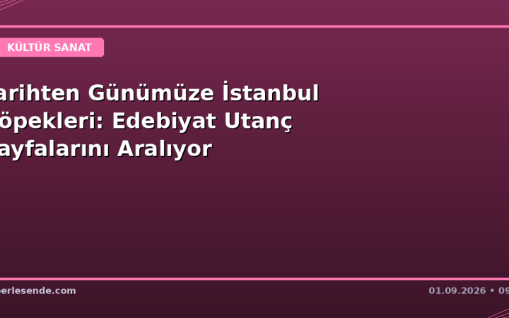 Tarihten Günümüze İstanbul Köpekleri: Edebiyat Utanç Sayfalarını Aralıyor