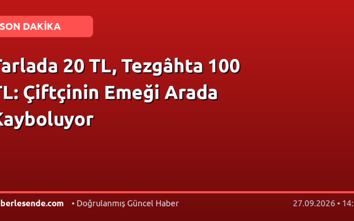 Tarlada 20 TL, Tezgâhta 100 TL: Çiftçinin Emeği Arada Kayboluyor