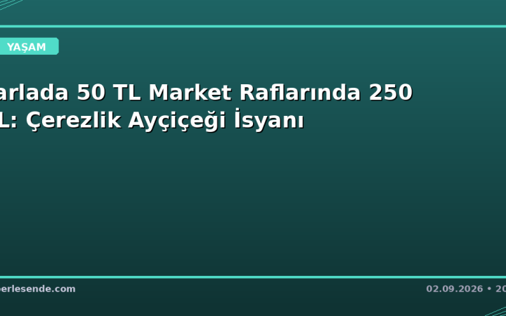 Tarlada 50 TL Market Raflarında 250 TL: Çerezlik Ayçiçeği İsyanı