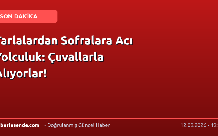 Tarlalardan Sofralara Acı Yolculuk: Çuvallarla Alıyorlar!
