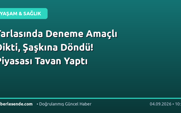 Tarlasında Deneme Amaçlı Dikti, Şaşkına Döndü! Piyasası Tavan Yaptı