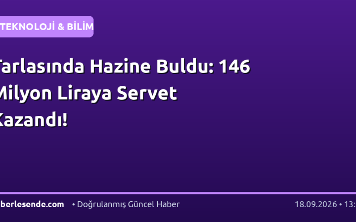 Tarlasında Hazine Buldu: 146 Milyon Liraya Servet Kazandı!