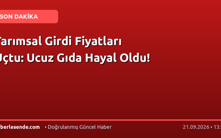 Tarımsal Girdi Fiyatları Uçtu: Ucuz Gıda Hayal Oldu!