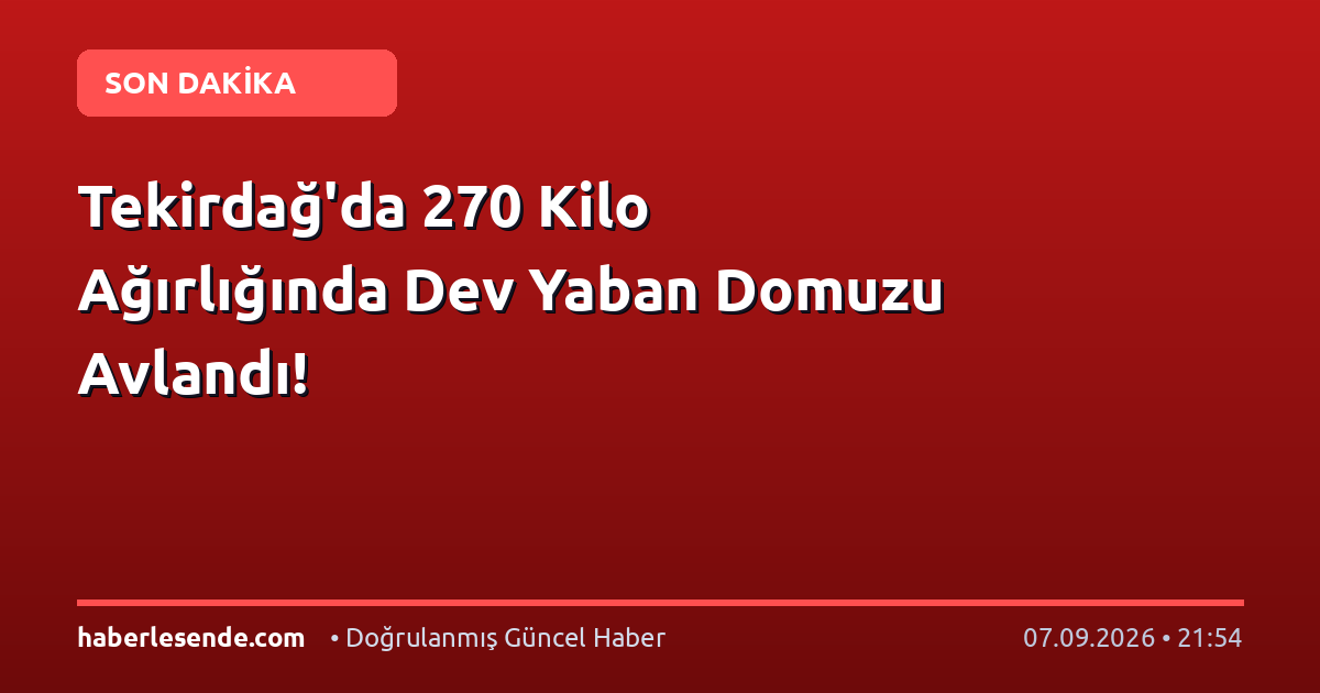 Tekirdağ'da 270 Kilo Ağırlığında Dev Yaban Domuzu Avlandı!